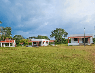 How to Travel with Your Dog to Masinagudi: A Complete Guide